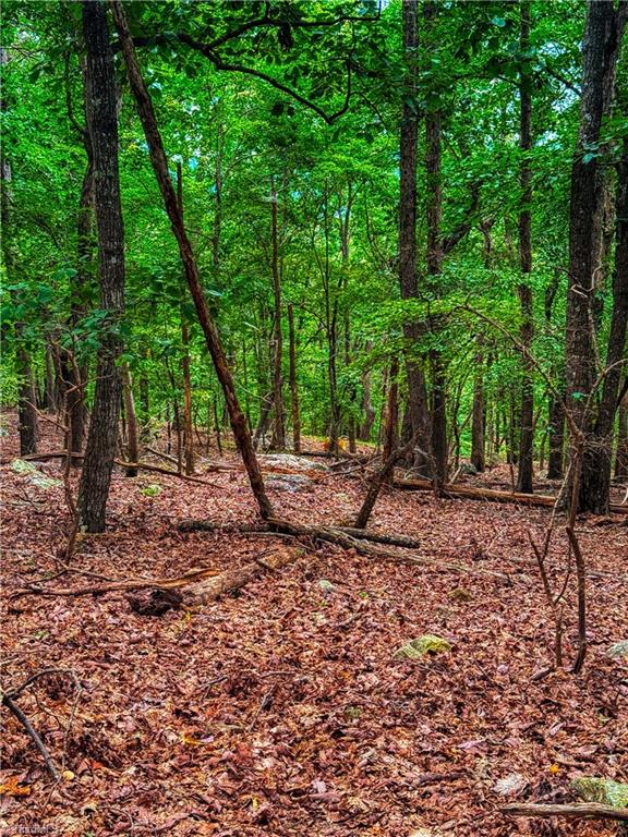 1996 Sierra Trace Road Denton, NC 27239 - Photo 11 of 39