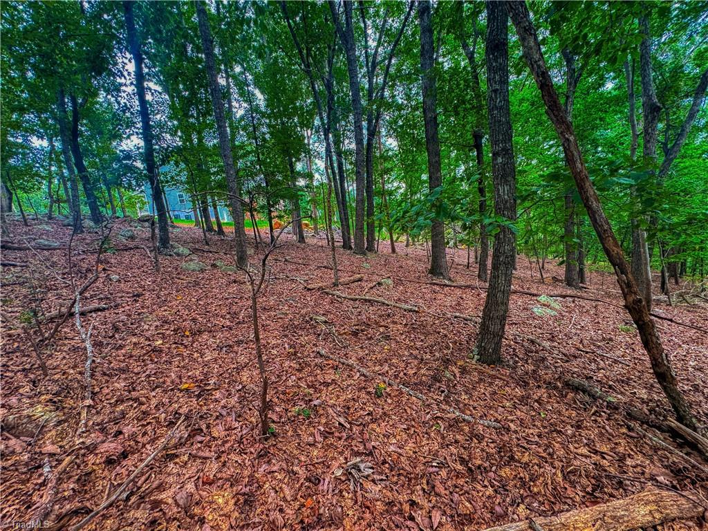 1996 Sierra Trace Road Denton, NC 27239 - Photo 12 of 39