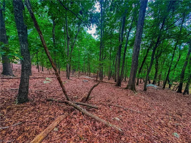 $54,900 | 1996 Sierra Trace Road, Denton, NC 27239