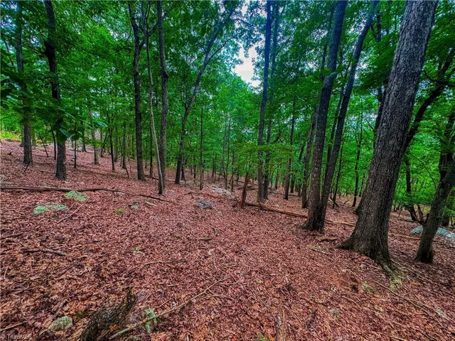 $54,900 | 1996 Sierra Trace Road, Denton, NC 27239
