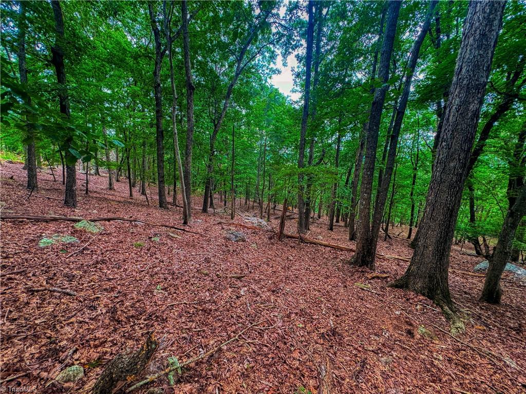 1996 Sierra Trace Road Denton, NC 27239 - Photo 14 of 39