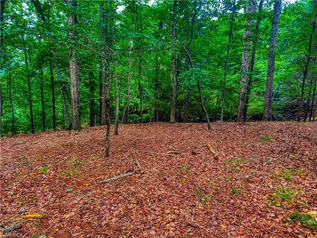 $54,900 | 1996 Sierra Trace Road, Denton, NC 27239