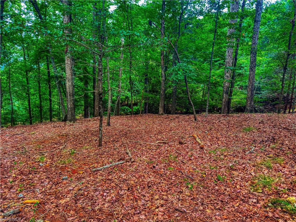 1996 Sierra Trace Road Denton, NC 27239 - Photo 10 of 39