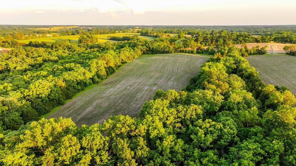 D218 County Road Armstrong, MO 65230 - Photo 41 of 73 Gallery Image 41