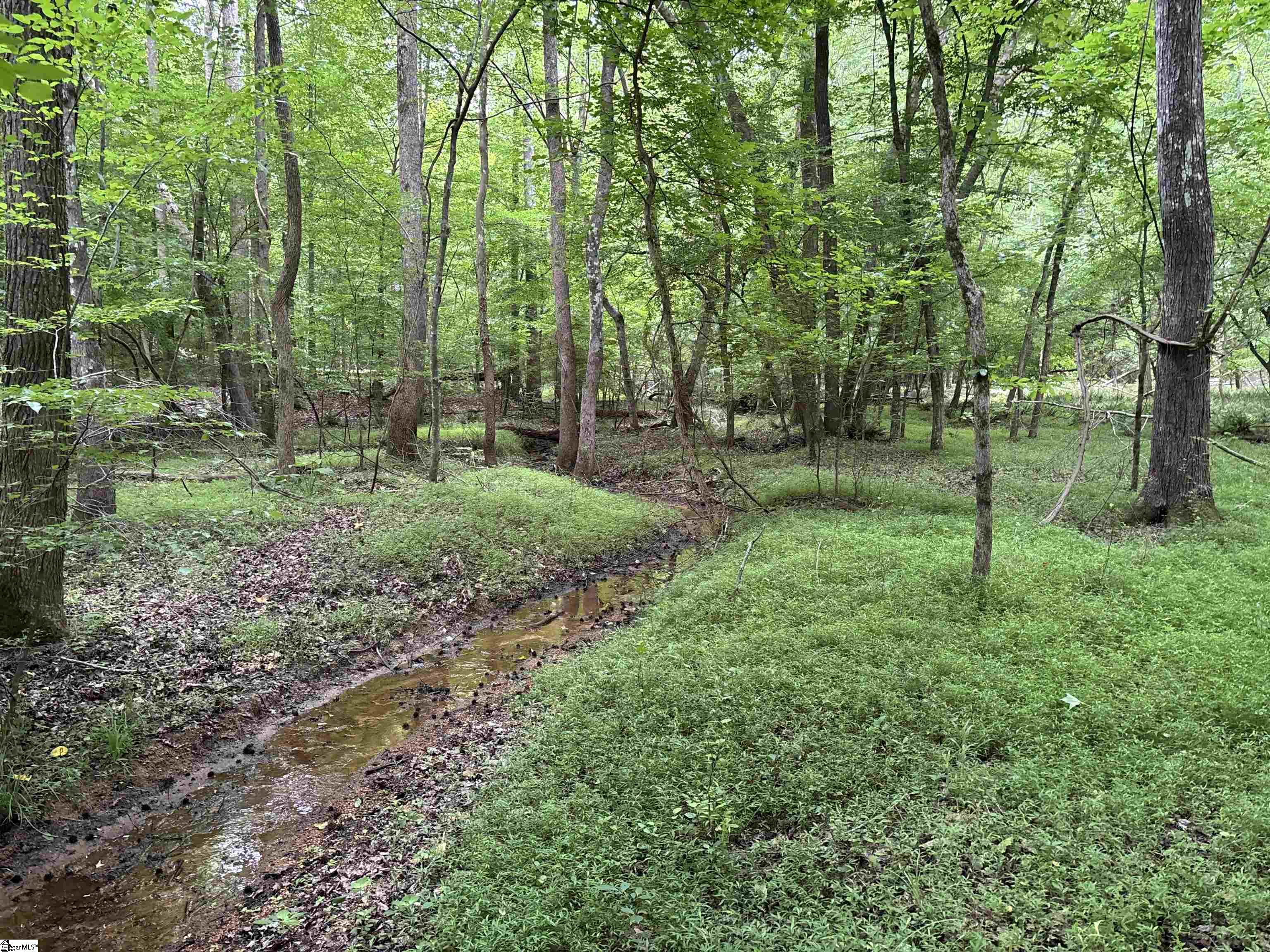 1087 Bobby Faucette Road Jonesville, SC 29353 - Photo 29 of 47