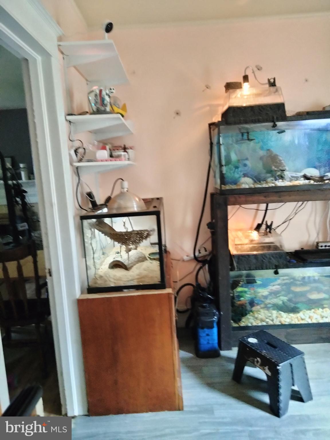 7411 Main Street Willards, MD 21874 - Photo 9 of 43