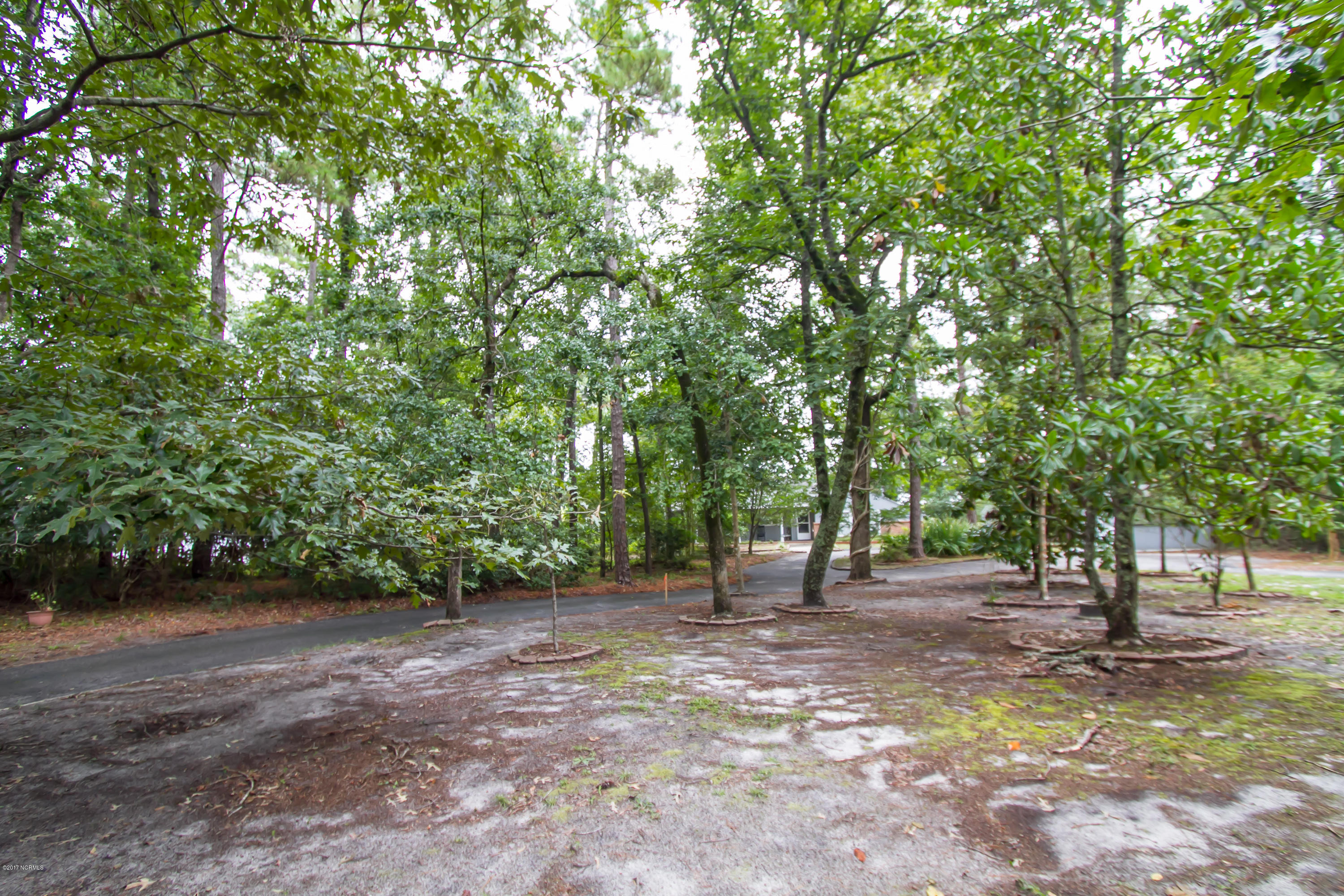 996 Copas Road Southwest Shallotte, NC 28470 - Photo 3 of 16 996 Copas Rd-3