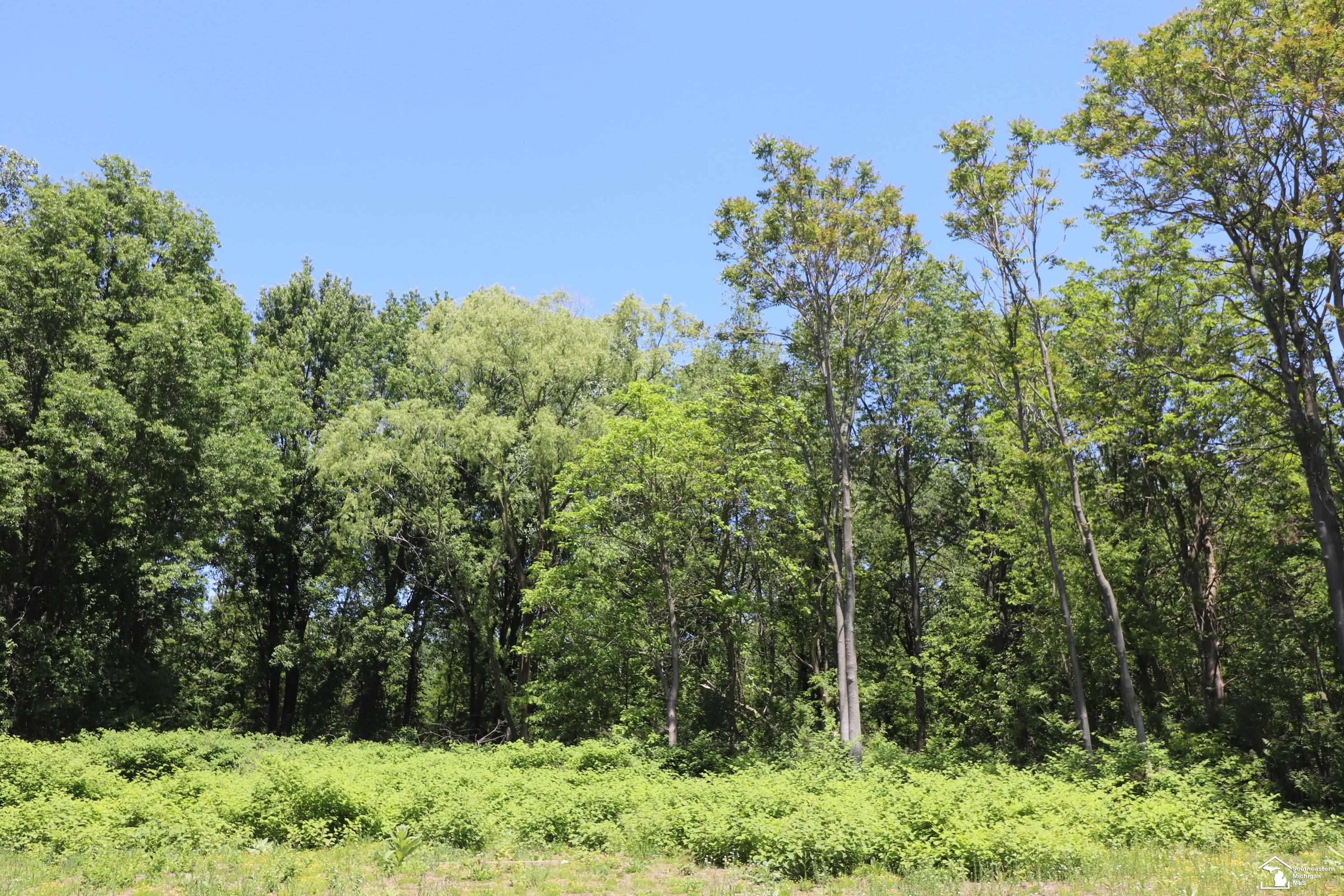 2630 West Temperance Road Temperance, MI 48182 - Photo 4 of 12
