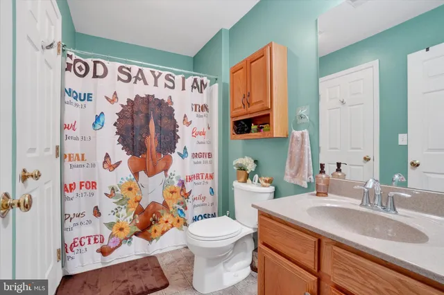 a bathroom with a sink toilet and shower curtain