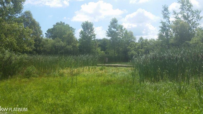 1460 North Ridge Road Carsonville, MI 48419 - Photo 42 of 49 31298281-41.JPG