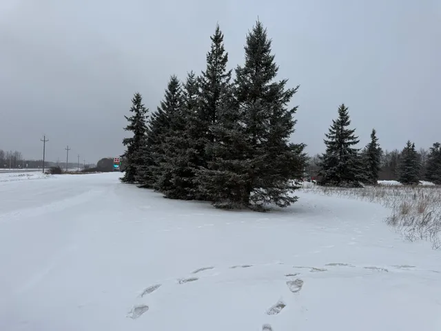 $298,800 | 32.48 Us 2 Nw Cass Lake, Cass Lake, MN 56633