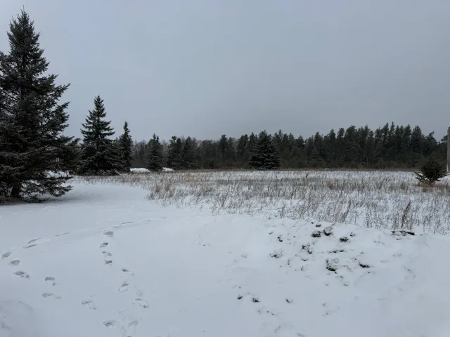 $298,800 | 32.48 Us 2 Nw Cass Lake, Cass Lake, MN 56633