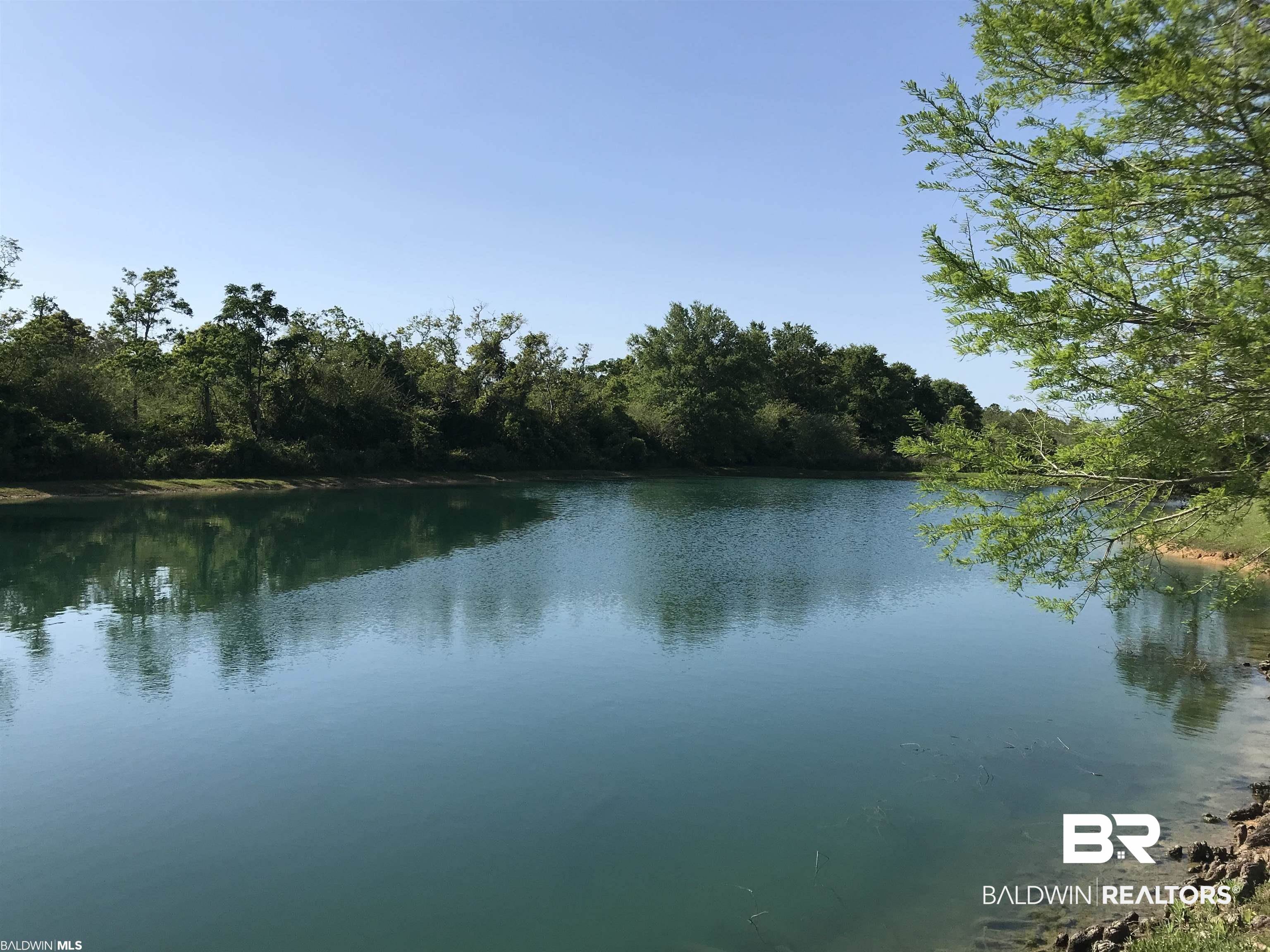 0 Rocky Rd Loop Gulf Shores, AL 36542 - Photo 2 of 17 Gallery Image 2