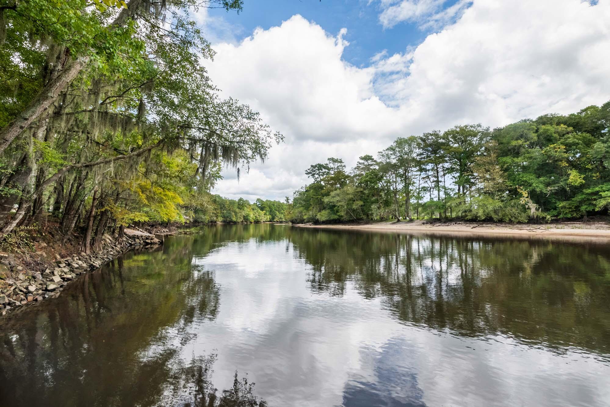 7884 Peirce Road Ridgeville, SC 29472 - Photo 39 of 84 HFL_EDISTO RIVER 80+ ACRES-31