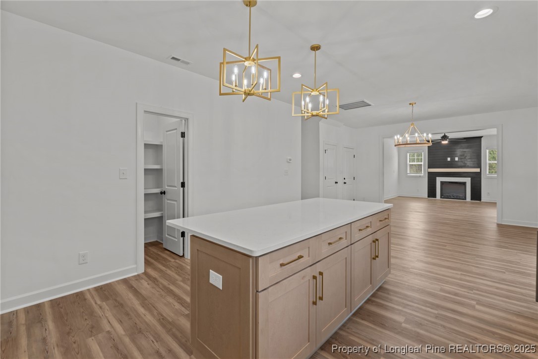 58 Magnolia Grv Way Cameron, NC 28326 - Photo 4 of 25 a kitchen with a stove and wooden floor