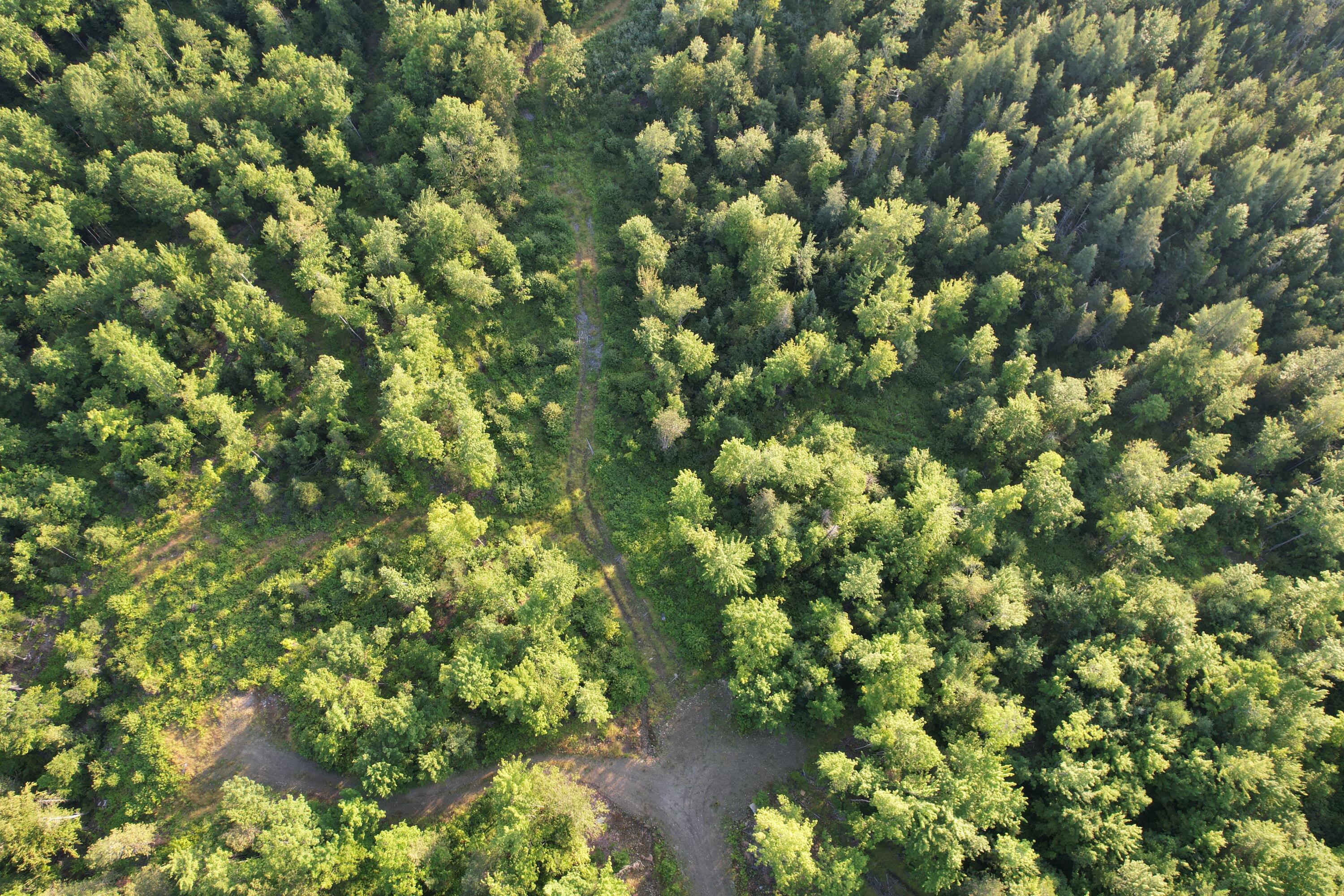 Lot #4 Woods Road Phillips, ME 04966 - Photo 18 of 27