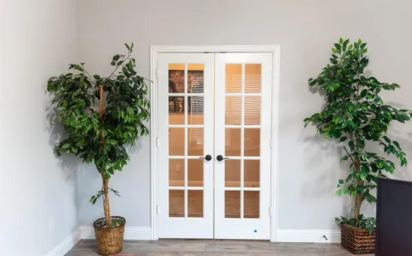a view of a potted plant in front of a house
