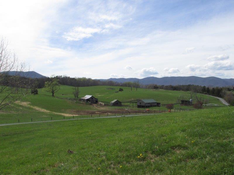 286 Stevens Road Troutville, VA 24175 - Photo 21 of 26 IMG_5191