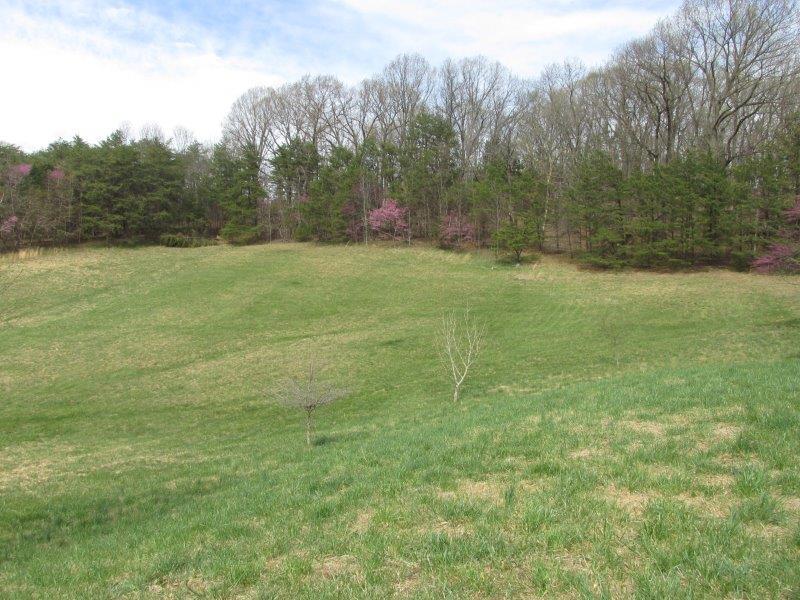 286 Stevens Road Troutville, VA 24175 - Photo 26 of 26 IMG_5200