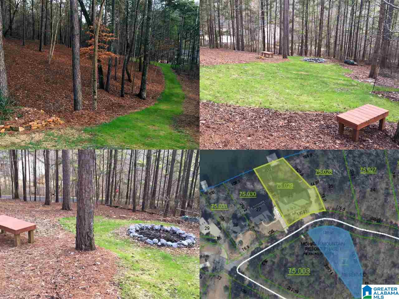 1238 Mohawk Trail Ohatchee, AL 36271 - Photo 29 of 50 Gallery Image 29