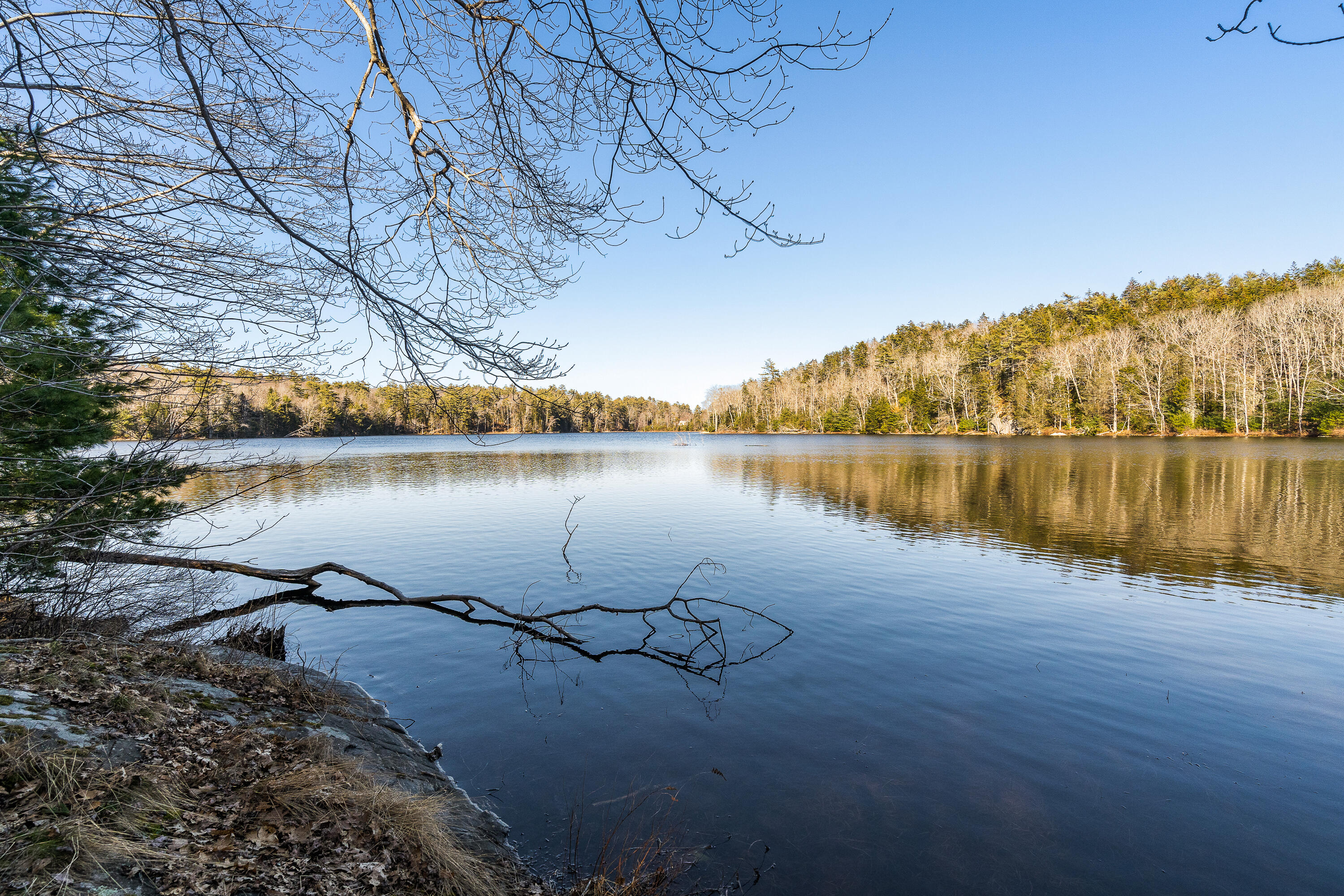 260 Ocean Point Road Boothbay Harbor, ME 04538 - Photo 63 of 65 The pond