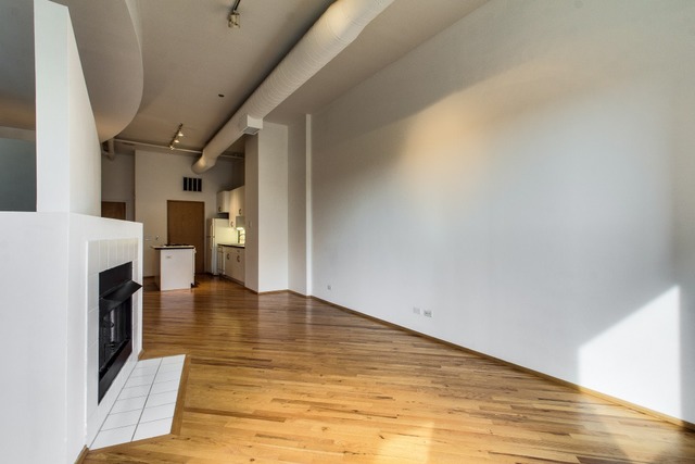 910 South Michigan Avenue, Unit 202 Chicago, IL 60605 - Photo 11 of 22