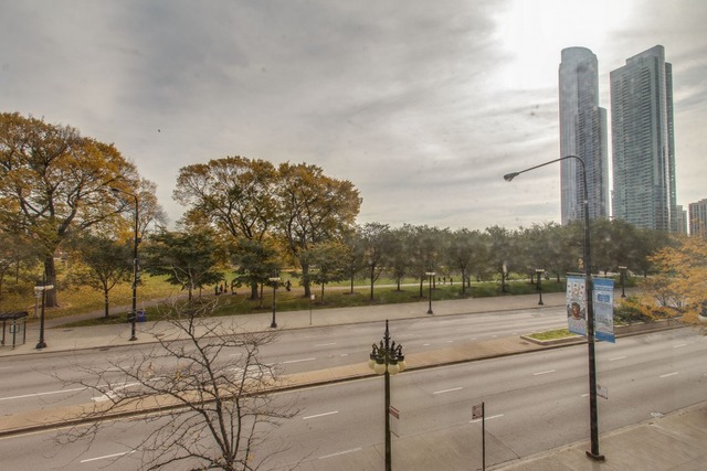 910 South Michigan Avenue, Unit 202 Chicago, IL 60605 - Photo 12 of 22