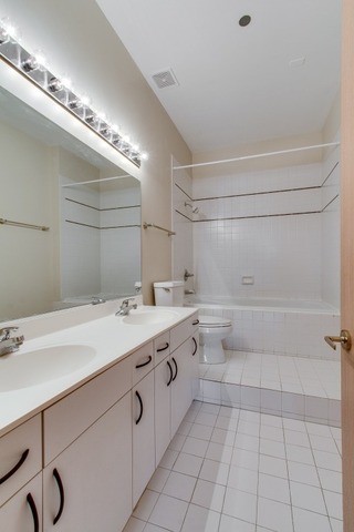 910 South Michigan Avenue, Unit 202 Chicago, IL 60605 - Photo 19 of 22