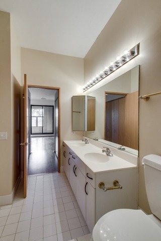 910 South Michigan Avenue, Unit 202 Chicago, IL 60605 - Photo 20 of 22