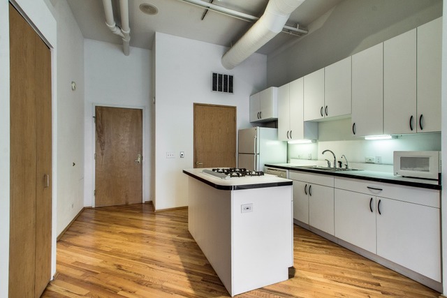 910 South Michigan Avenue, Unit 202 Chicago, IL 60605 - Photo 2 of 22