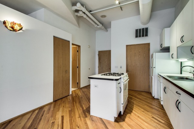 910 South Michigan Avenue, Unit 202 Chicago, IL 60605 - Photo 3 of 22