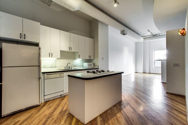 910 South Michigan Avenue, Unit 202 Chicago, IL 60605 - Photo 4 of 22