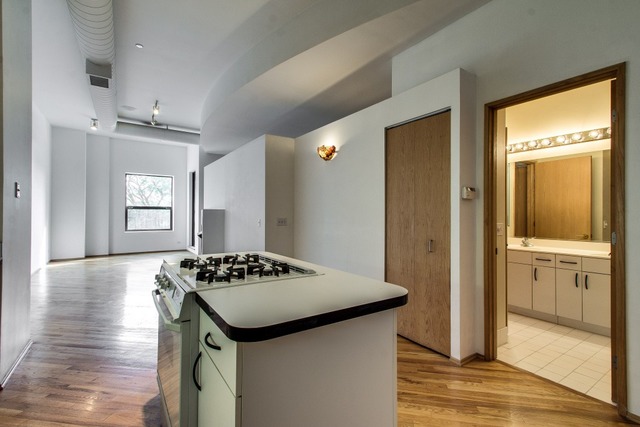 910 South Michigan Avenue, Unit 202 Chicago, IL 60605 - Photo 5 of 22