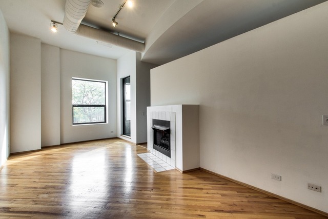 910 South Michigan Avenue, Unit 202 Chicago, IL 60605 - Photo 9 of 22