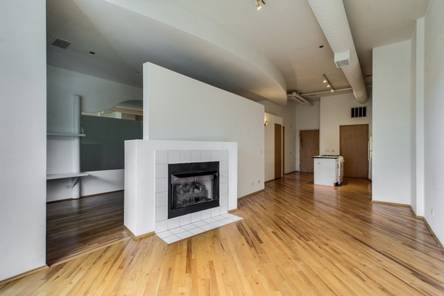 910 South Michigan Avenue, Unit 202 Chicago, IL 60605 - Photo 10 of 22
