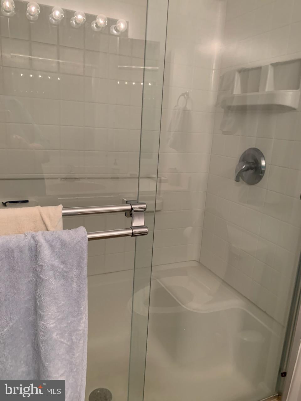 3200 North Leisure World Boulevard, Unit 514 Silver Spring, MD 20906 - Photo 16 of 26 a bathroom with a shower