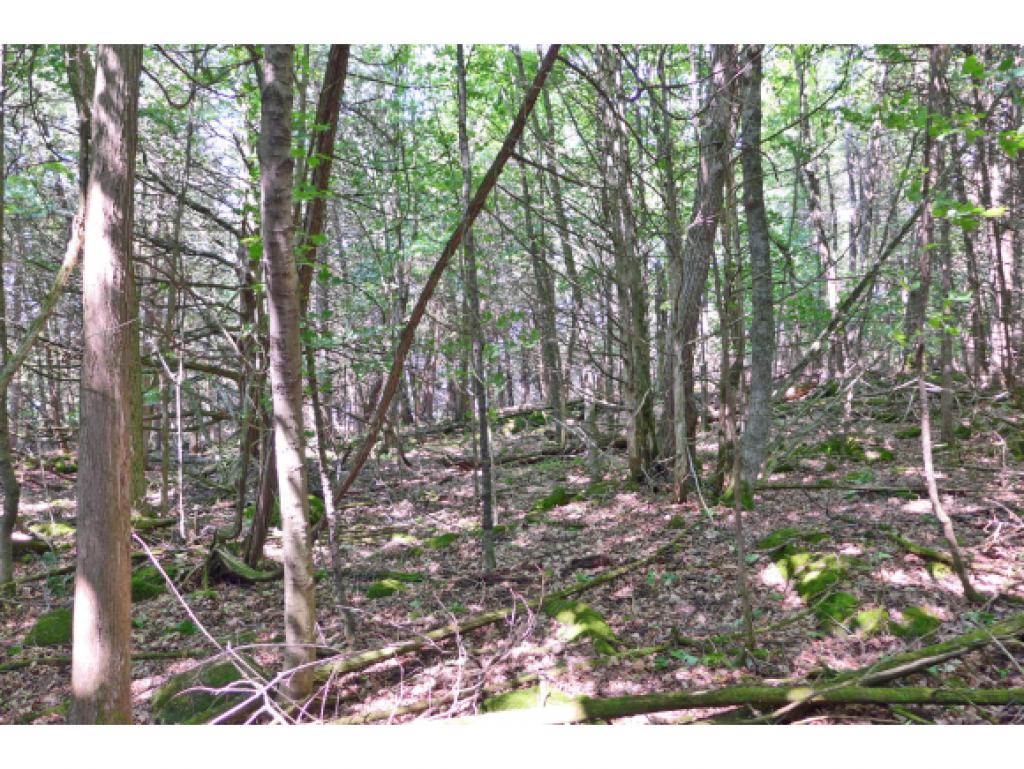 280 Country Club Road Highgate, VT 05488 - Photo 11 of 36