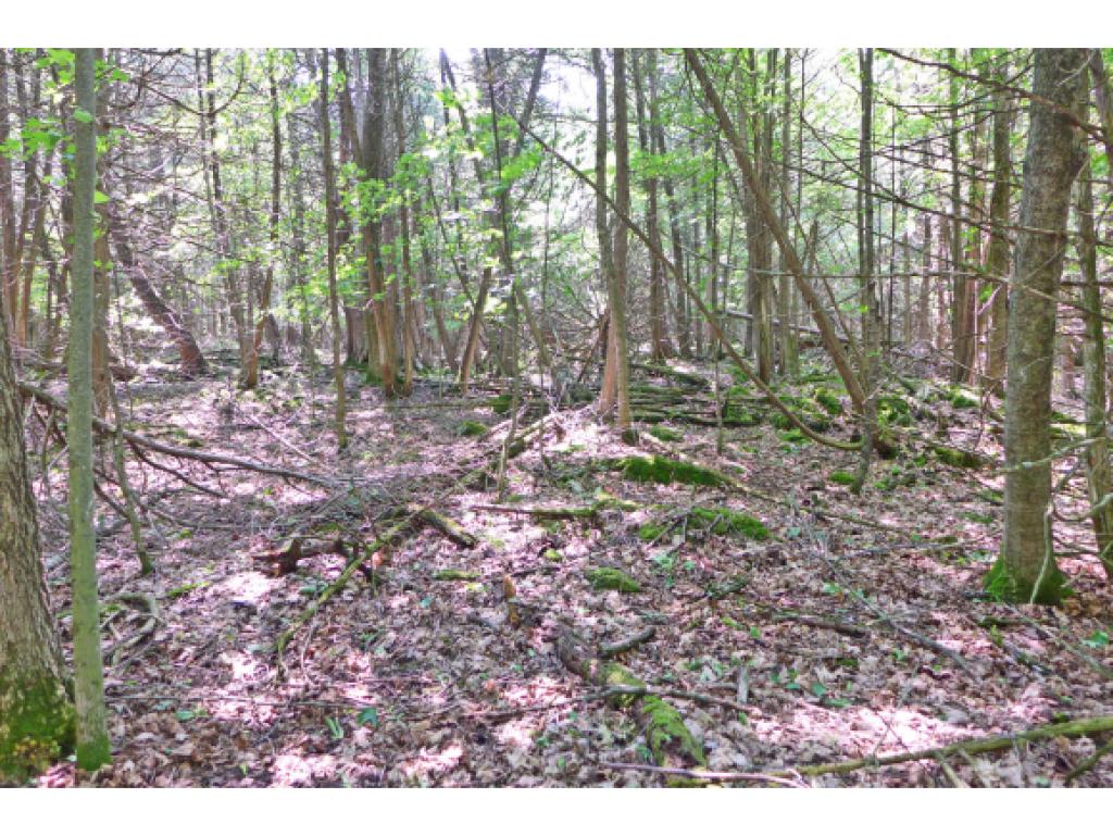 280 Country Club Road Highgate, VT 05488 - Photo 14 of 36