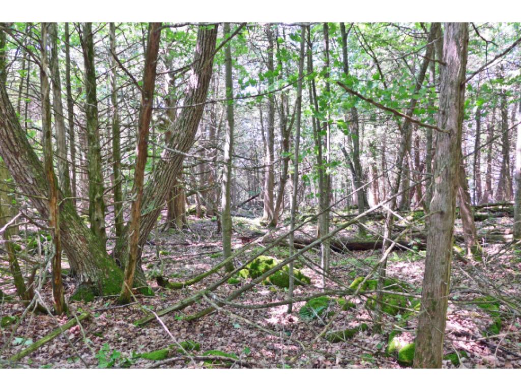 280 Country Club Road Highgate, VT 05488 - Photo 21 of 36