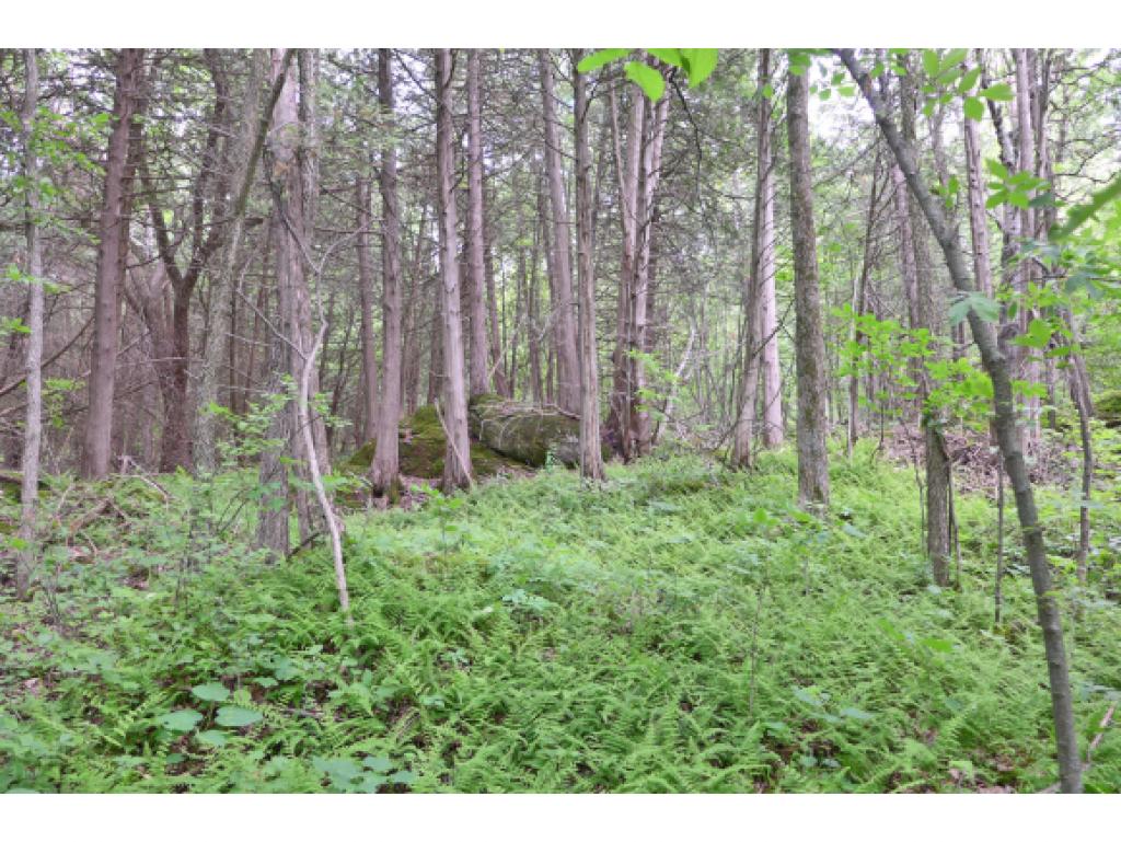280 Country Club Road Highgate, VT 05488 - Photo 26 of 36