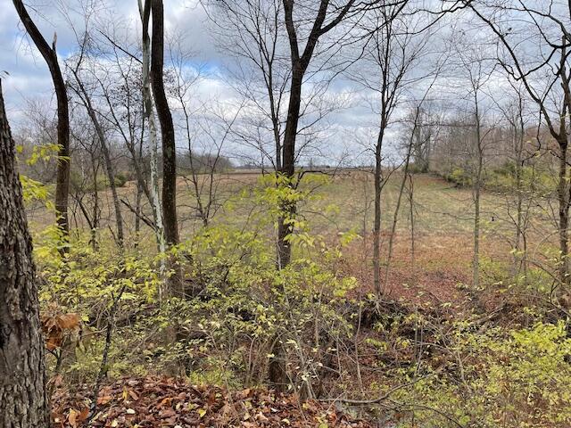 0 Dozer Road Southwest Stoutsville, OH 43154 - Photo 9 of 9 image8
