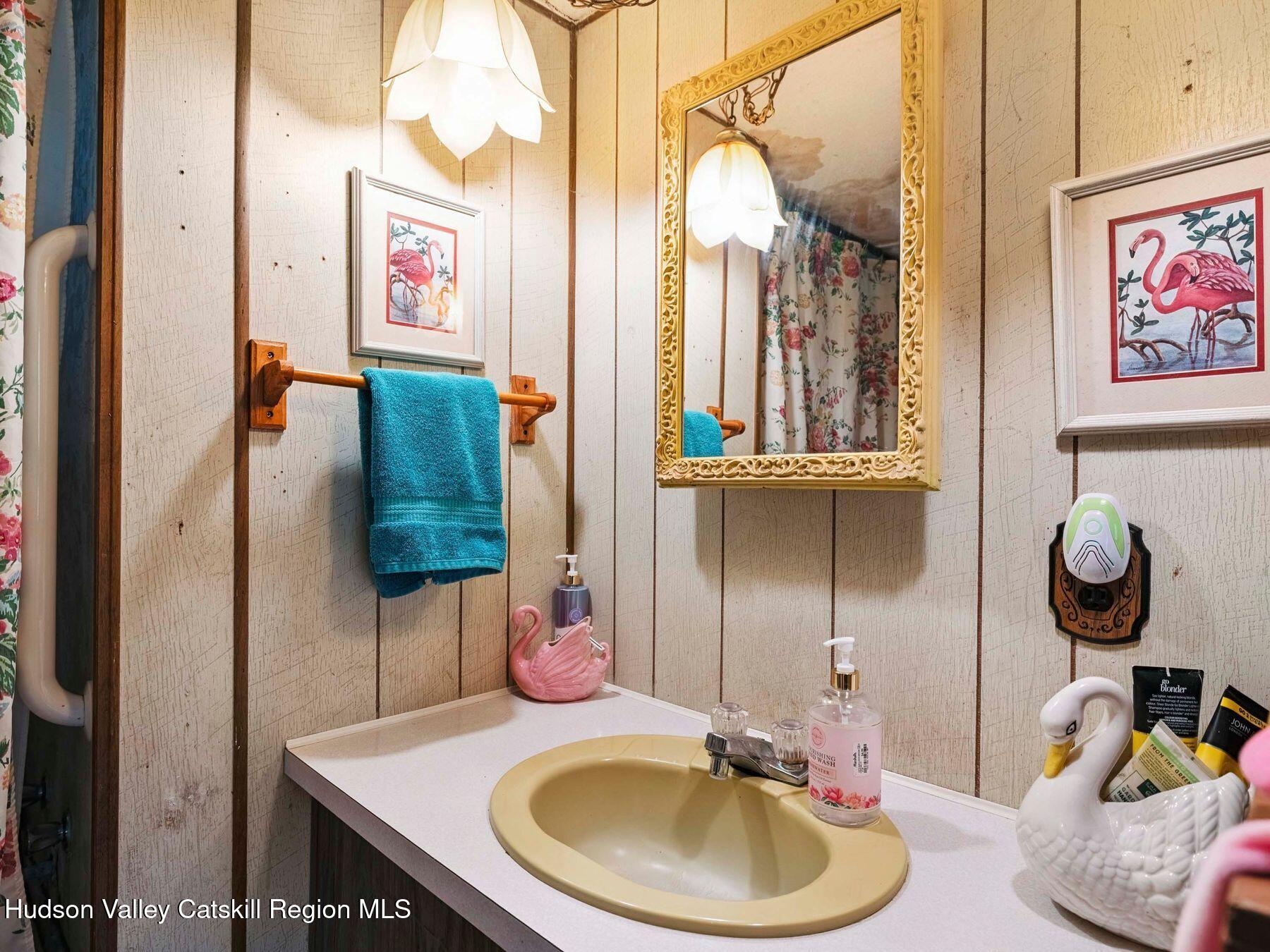 325 Brand Road Conesville, NY 12076 - Photo 21 of 36 a bathroom with a sink mirror and vanity