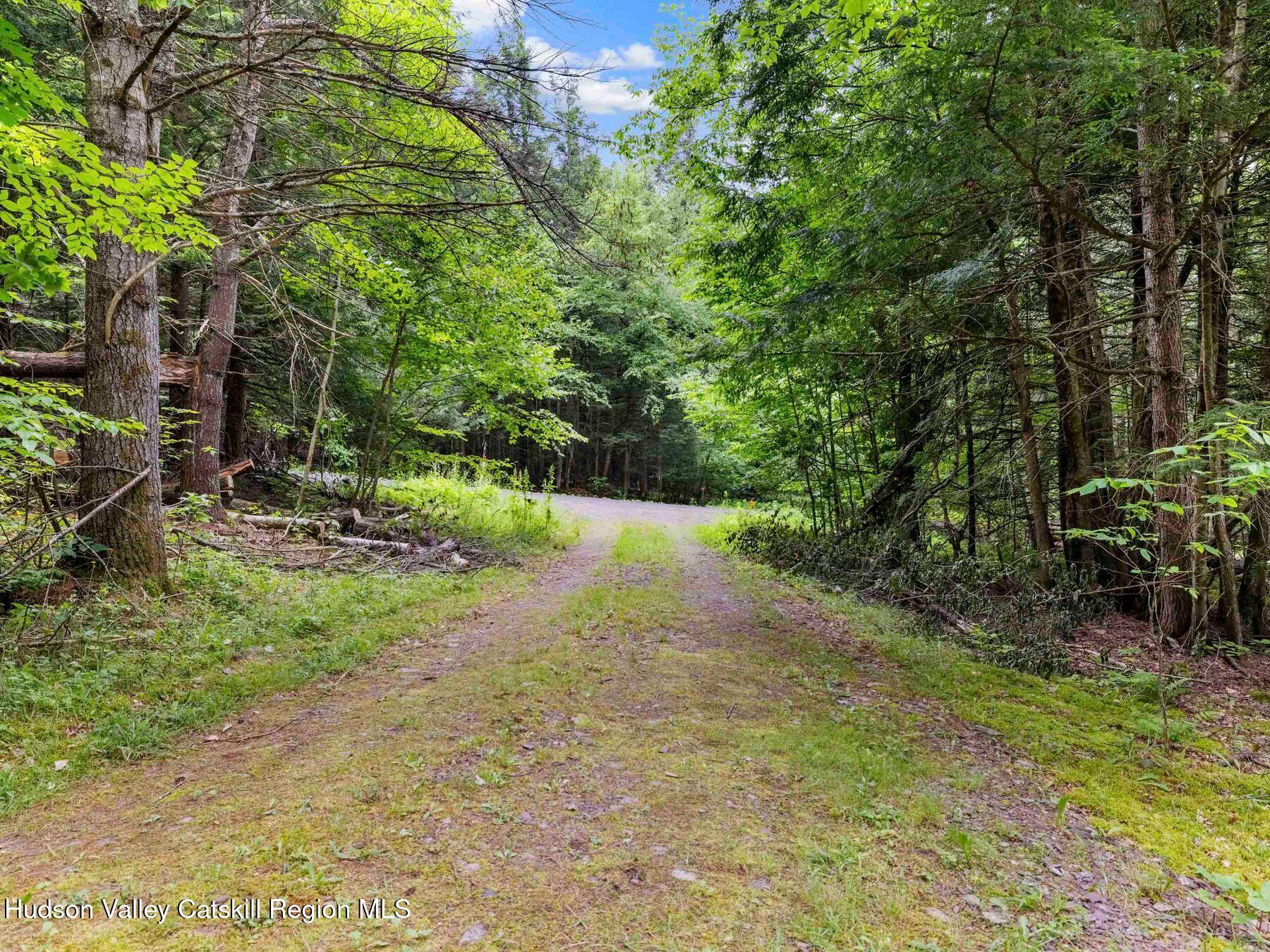 325 Brand Road Conesville, NY 12076 - Photo 35 of 36 a view of a yard with plants and trees