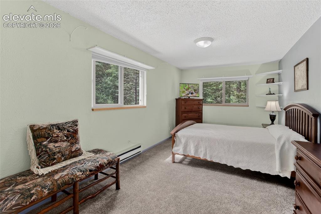 5145 Neeper Valley Road Manitou Springs, CO 80829 - Photo 24 of 49 Main level 2nd bedroom.