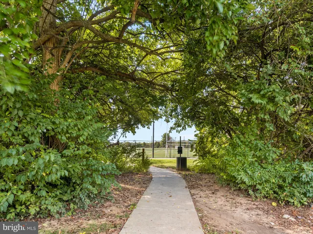 a view of a back yard