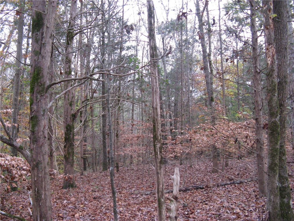 1 Simpson Lane Iva, SC 29655 - Photo 7 of 8 Gallery Image 7