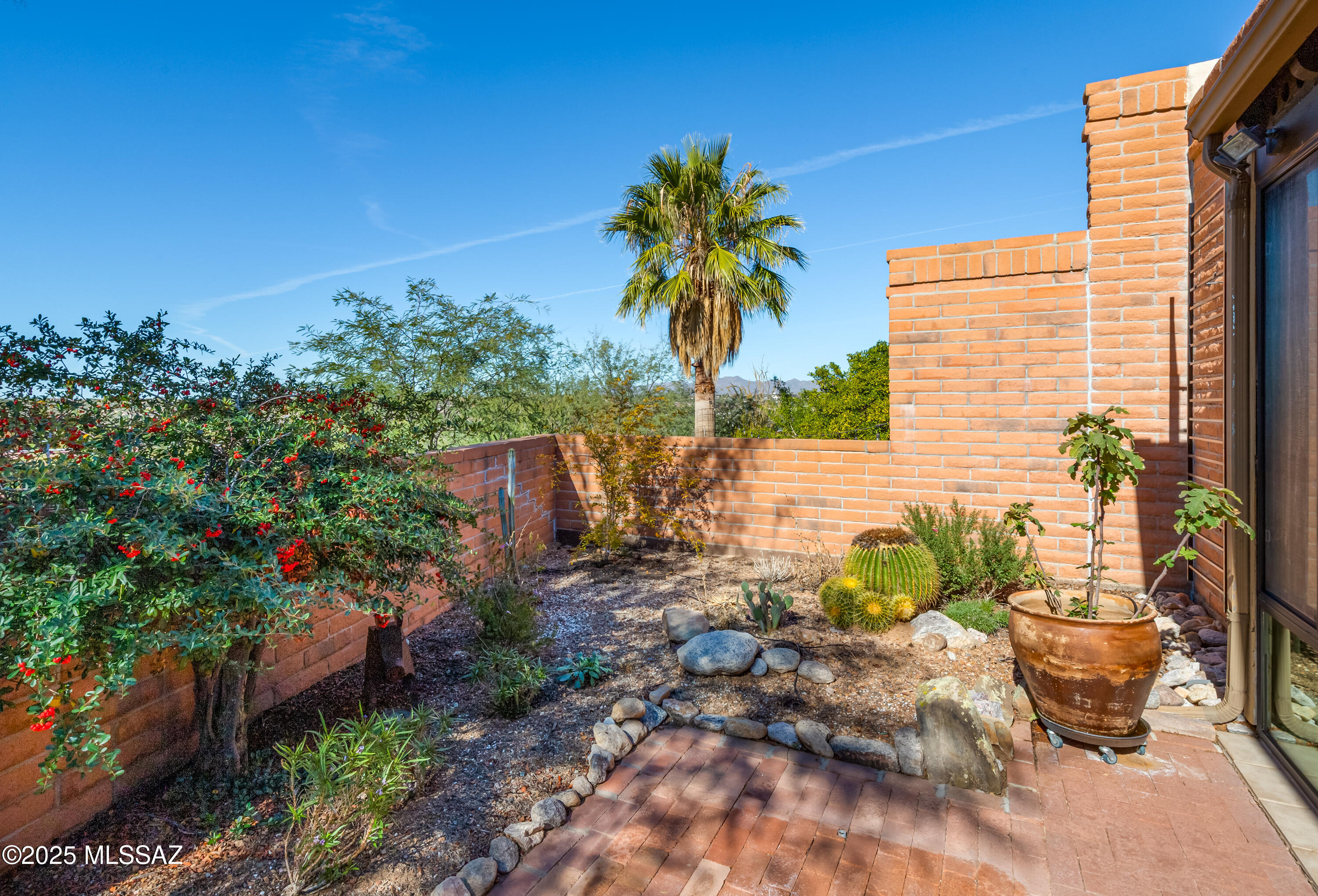 8665 North Coral Ridge Loop Tucson, AZ 85704 - Photo 25 of 38
