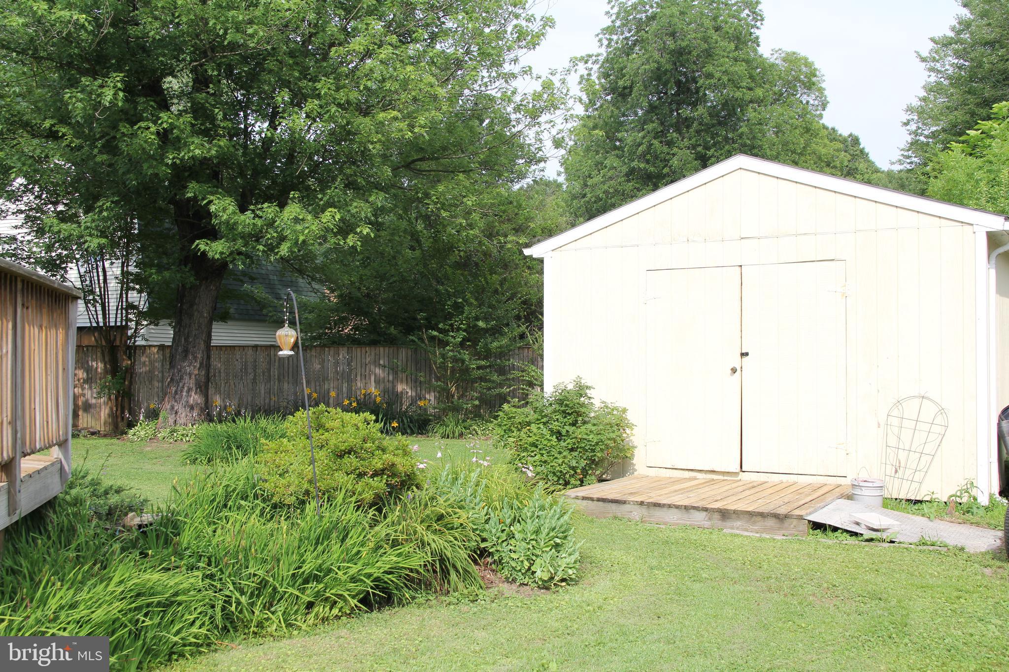 Additional photo of the backyard with shed.