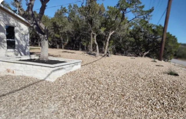 a view of a tree with snow on the road