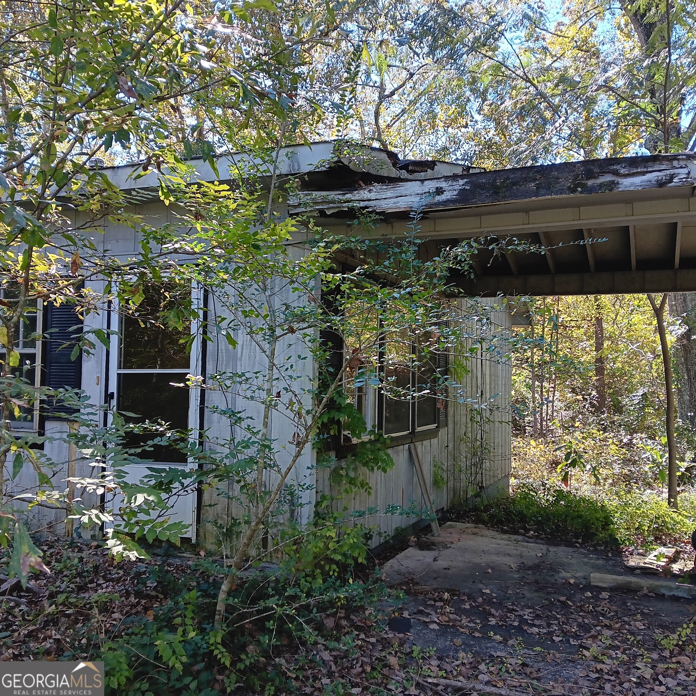 4377 Rock Mills Road LaGrange, GA 30240 - Photo 7 of 27 a view of a pathway with a tree